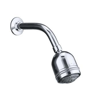 Kohler MasterShower multifunction 3-way showerhead - K-16355IN 