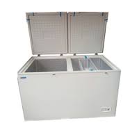 Bluestar CHF500A 500 L Deep Freezer 