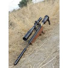 Aarya Air Rifle Precharged pneumatic - PCP
