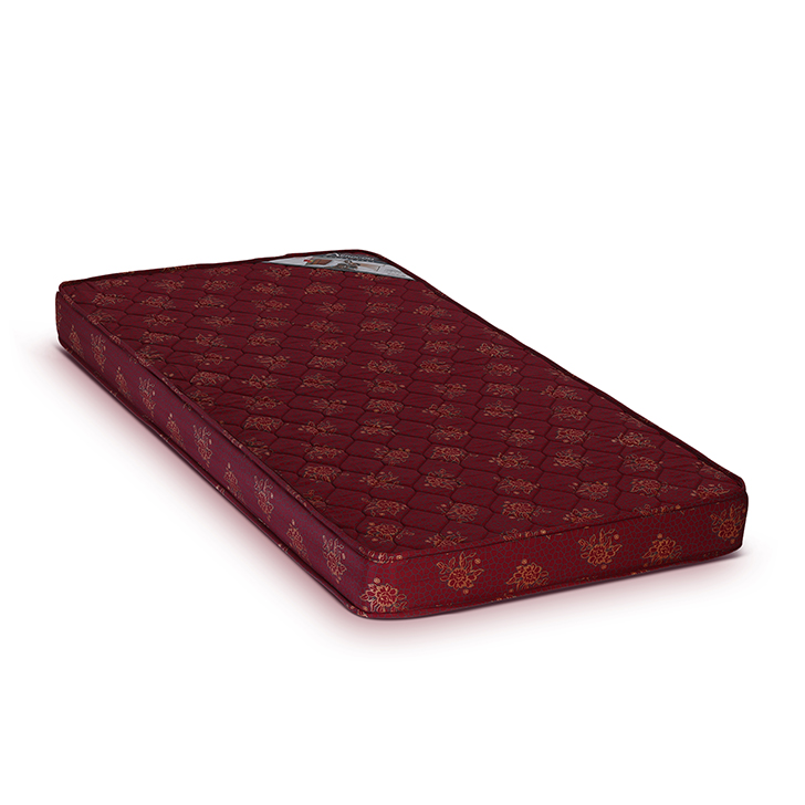 Price List India Aerocom Nano Rayna 4 Inches Coir Mattress for