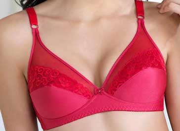 Triumph Two Section Shaping Bridal Bra