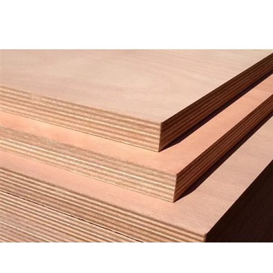 Semi Hard Wood Plywood