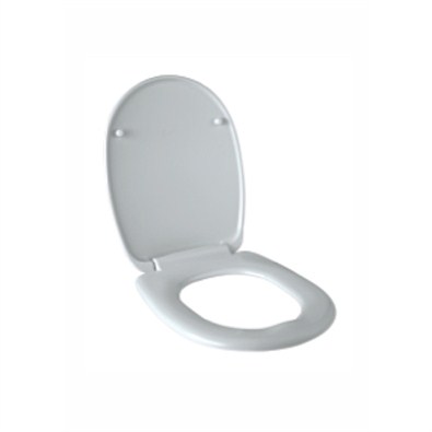 Parryware Seat Cover Commode Cardiff (E8112 Cardiff Soft Close)