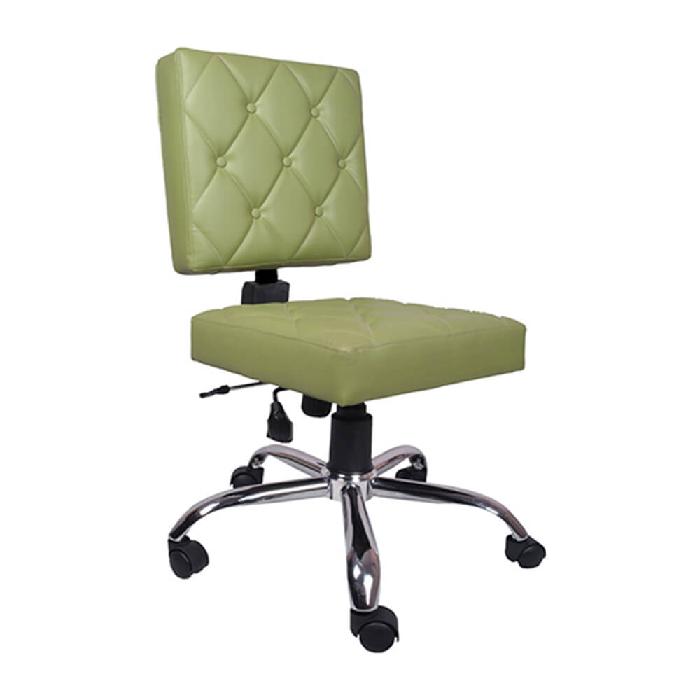 VJ Interior Preciosa Study And Task Chair Green 19 x 20 x 21 Inch VJ-0179