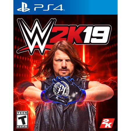 WWE 2K19 2K PlayStation 4 Video Game