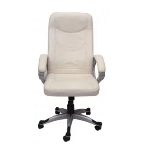 VJ Interior Executive Chair White 21 x 23 x 48 Inch VJ-201-EXECUTIVE-HB