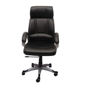VJ Interior Executive Chair Black 21 x 23 x 48 Inch VJ-241-EXECUTIVE-HB