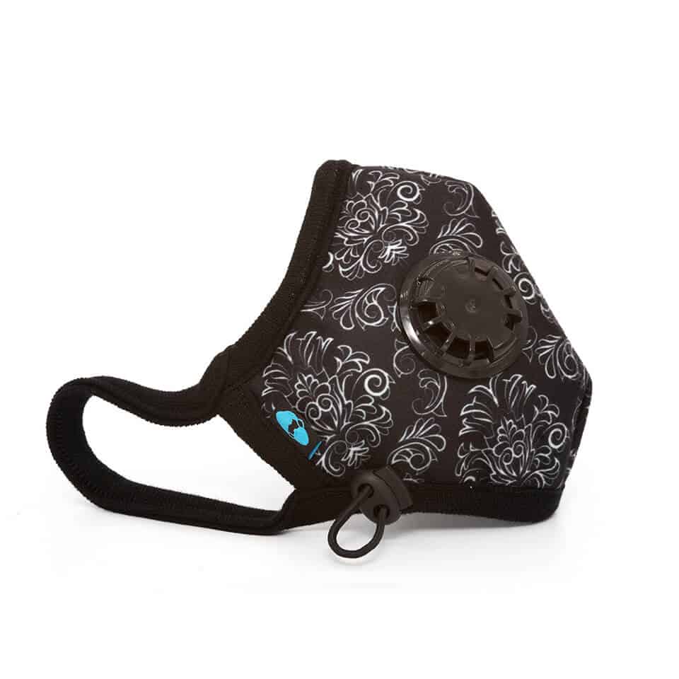 Cambridge N99 Standard Air Pollution Face Mask