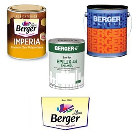 Berger Paints Protective Coating