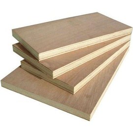 Apple Club Gurgen ISI Plywood 